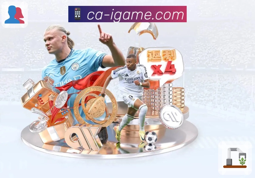 App Interface Preview